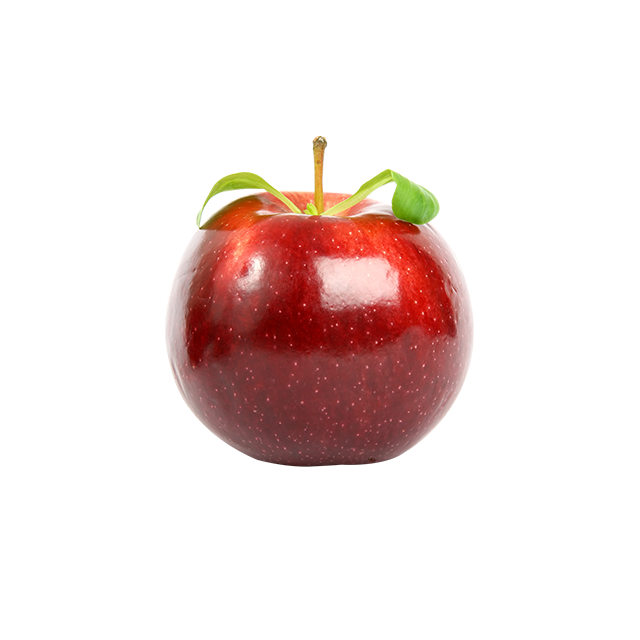 Branch Apple - Image 2