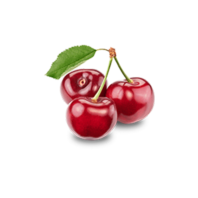 Branch Apple - Image 3