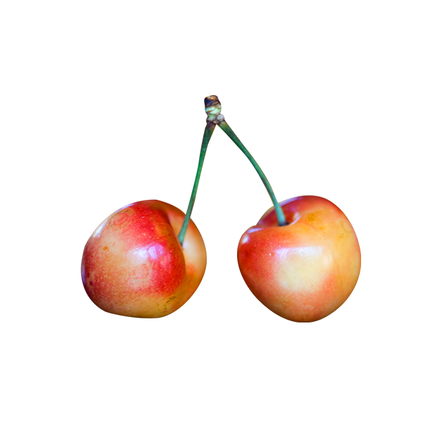 Branch Apple - Image 4